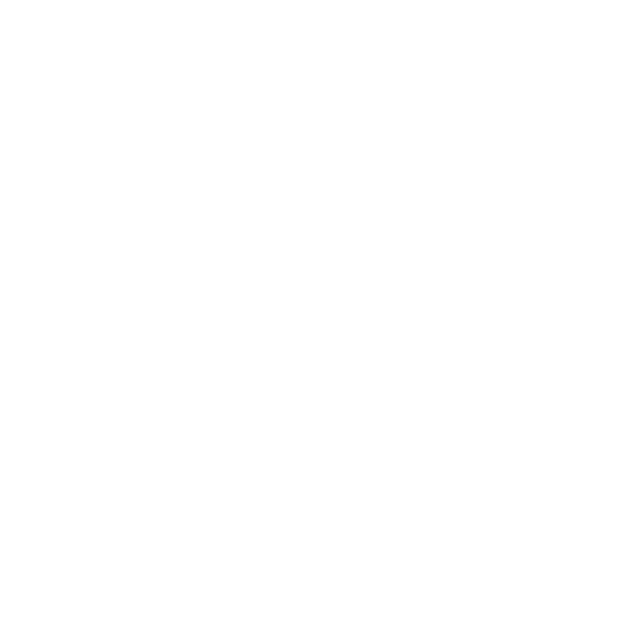 Fossil