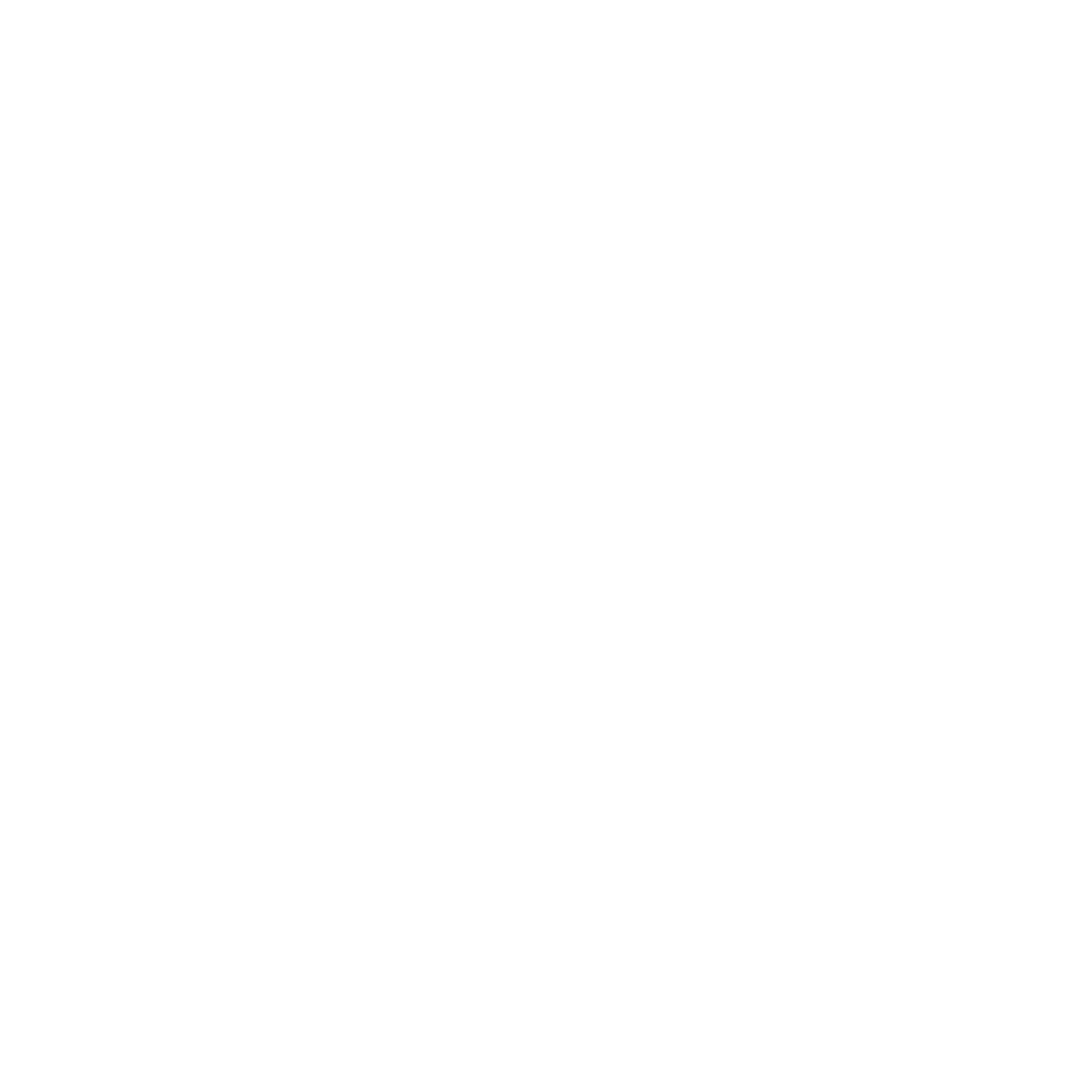 the dallas opera